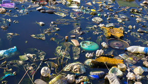 Angling Trust backs campaign to phase out plastic cups at riverside pubs.