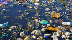 Protected Pitcairn island the plastic pits