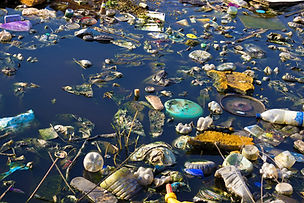 Environment Pollution