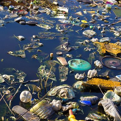 Environment Pollution