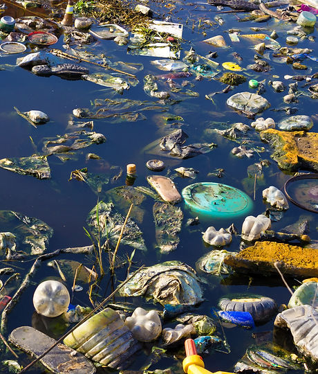 Environment Pollution