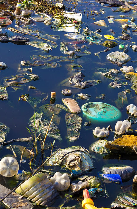 Environment Pollution