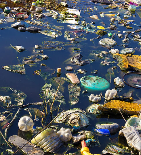 Environment Pollution