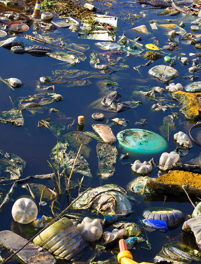 Environment Pollution
