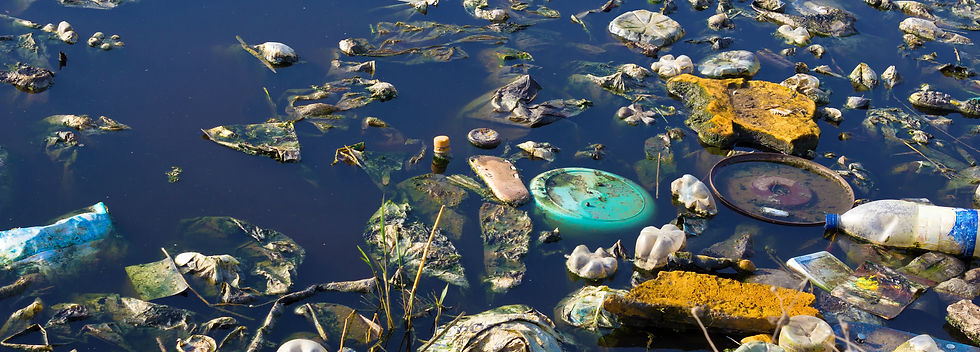 Environment Pollution