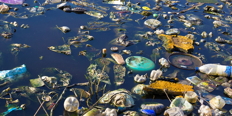Earth Day Activities in the Time of Social Distancing