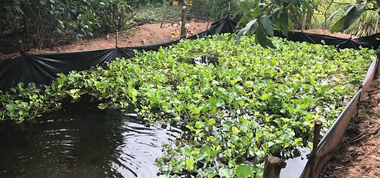 123142835_3444421012312407_713091825290509439_n (1).jpg