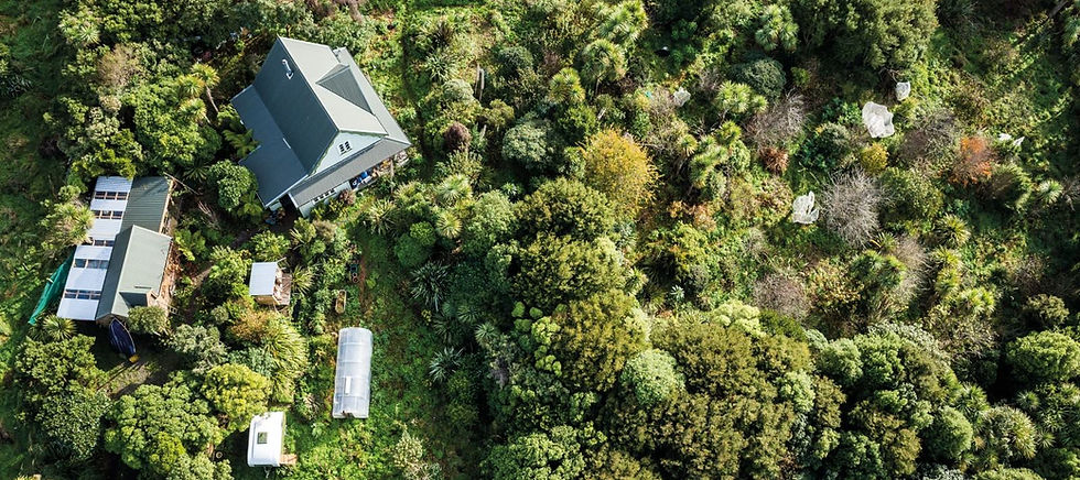 Aerial drone view of forest garden