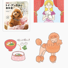 【増補改訂版】　飼い方・しつけ・お手入れがわかる　トイ・プードルの教科書 （ナツメ社様）