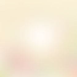 ウェディングフレーム（Z&K様）