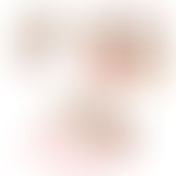 ESSEクラシエTUページ（2013）