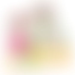 あんふぁん2017.3月号（サンケイリビング様）