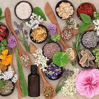 plantes-huiles-essentielles-1024x673-327830706.jpg