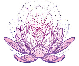 lotus-flower-intricate-stylized-linear-drawing-isolated-on-white-vector-id681910842-197261