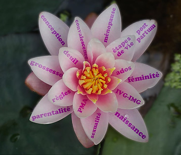 lotus et textes_edited.jpg
