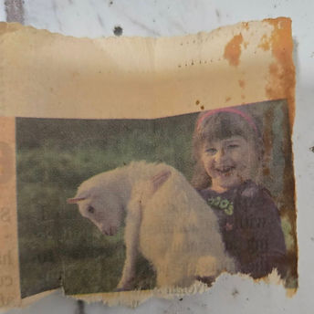 6E0F9C8D-362B-4E04-9EF8-A155AB71DF19 (1).jpeg