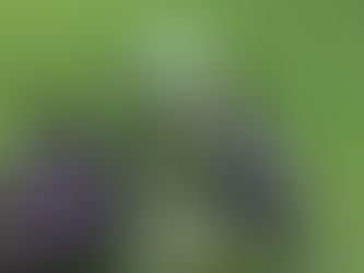 Artists' Reveal #7A - Angry Orc in "Classic Green", Painted by Steven Bushotee
