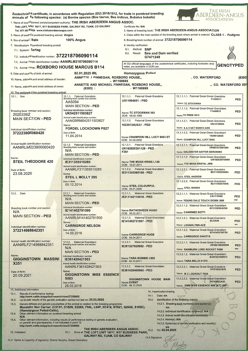 Pedigree Angus Certificate