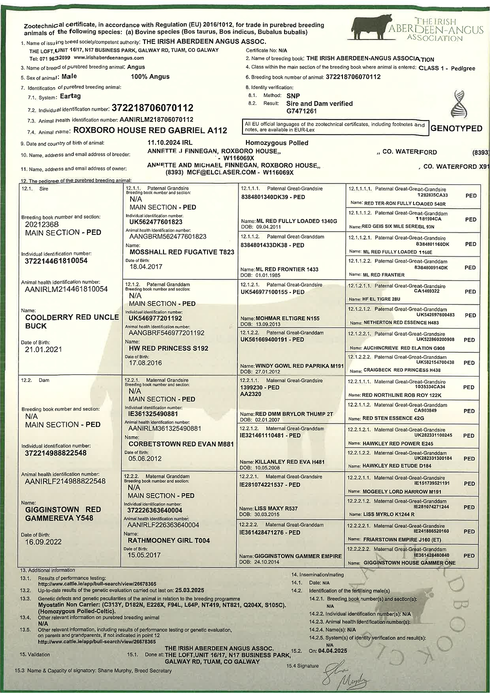 Pedigree Angus Certificate