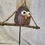 Thumbnail: Owl Sat on Branch