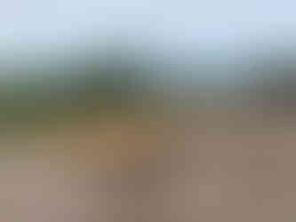 Puerto Rico - Rockpool Taran Kayak