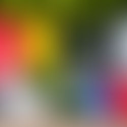 Dry Bags