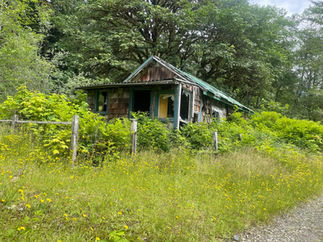 Tahsis - Woodland trail - Abandoned House