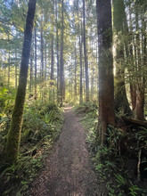 Vancouver Island - St Josef Bay Trail