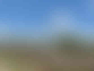 Puerto Rico - Windmills