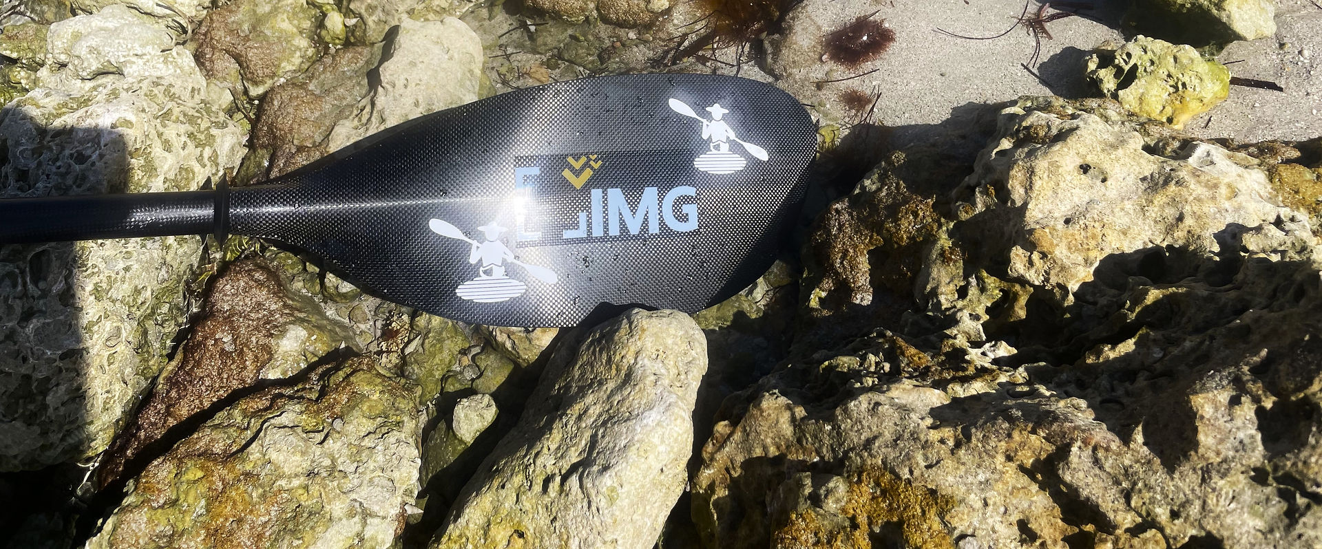 Fisher Island - Kayak Paddle - IMG Global Logo