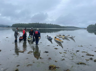 Vancouver Island - West Coast - low tide flats