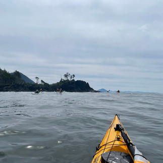 vancouver island - west coast - kayakers