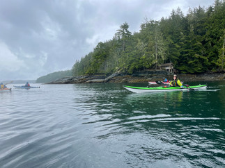 Vancouver Island - Johnstone Strait - kayaks