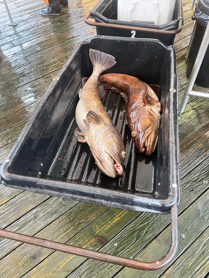 Vancouver Island Fishing