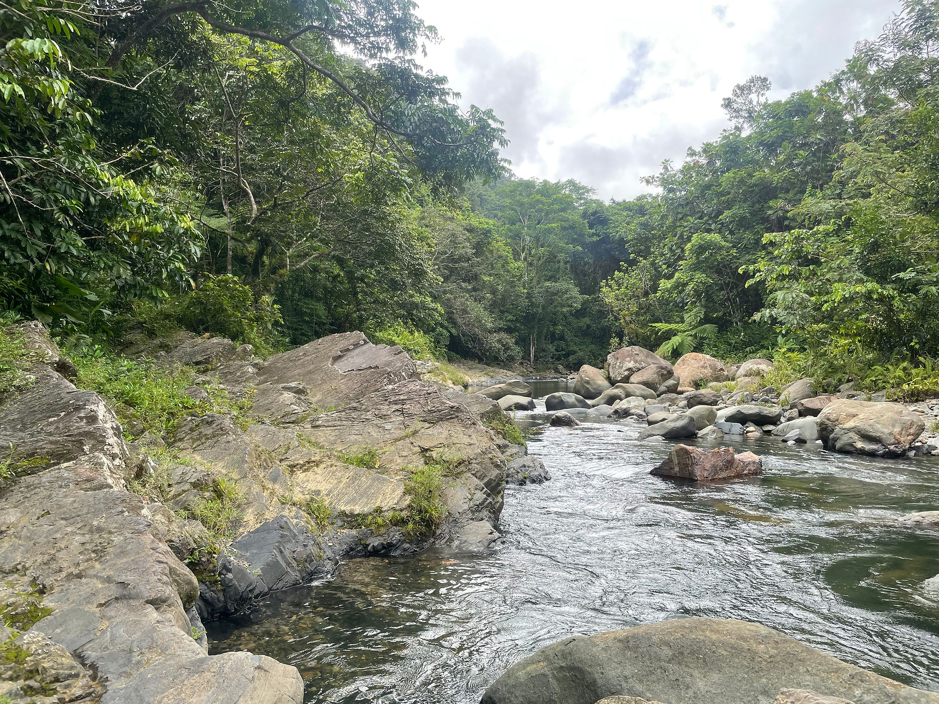 Puerto Rico - El Yunque Forest