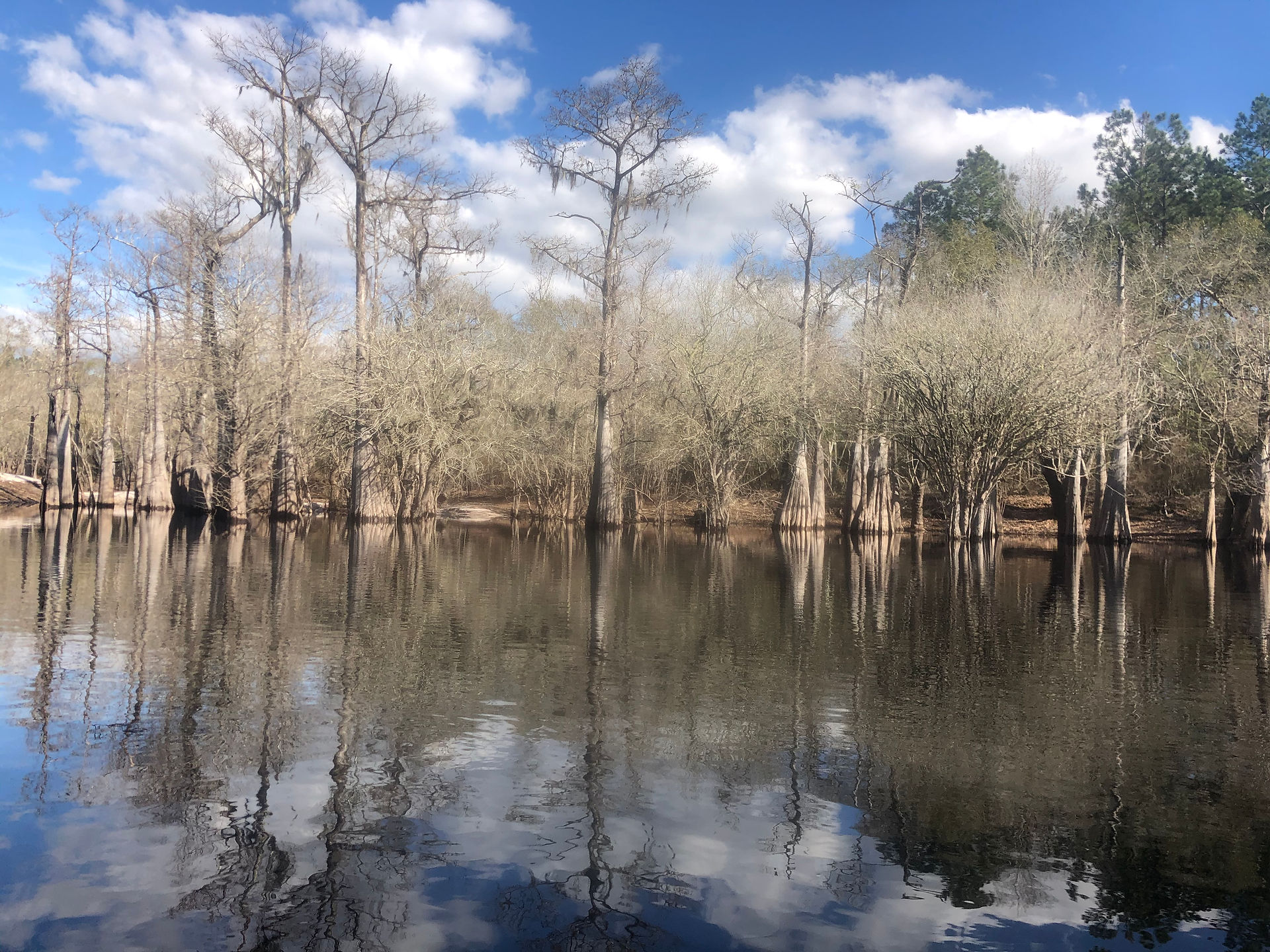 Georgia - Suwannee River 