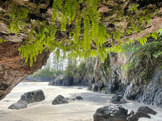 Vancouver Island - St Josef Bay - Caves