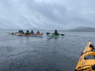 Vancouver Island - Johnstone Strait - Kayaks