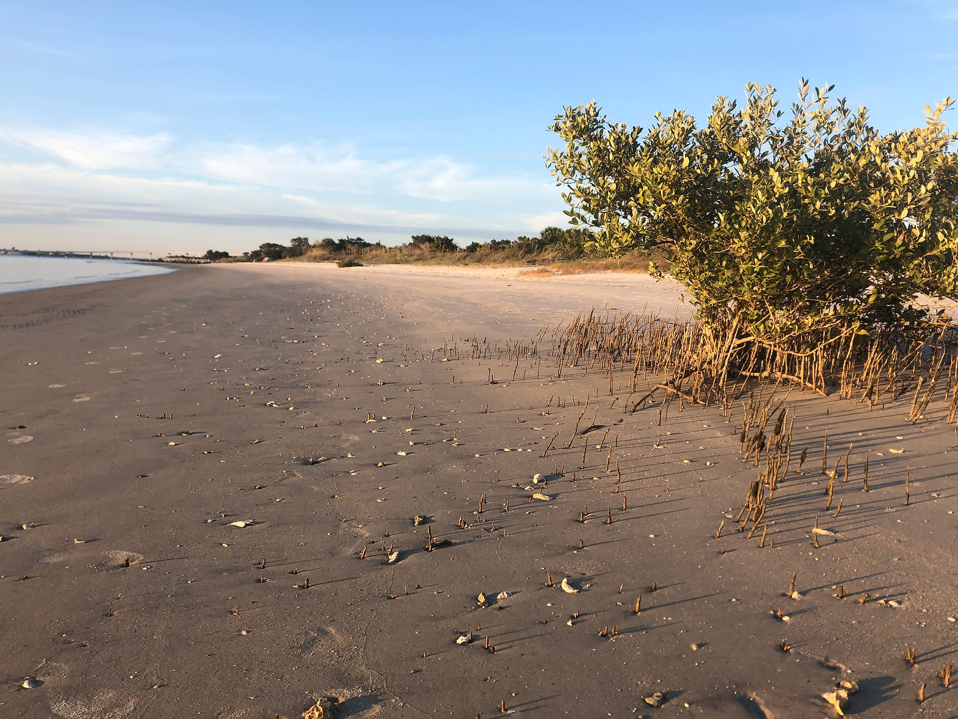 Florida - Atlantic Coast - Anastasia Island