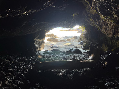 Vancouver Island - St Josef Bay Caves
