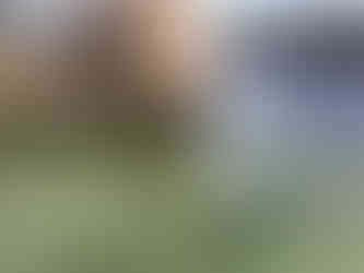 Suwannee River - Troy Springs