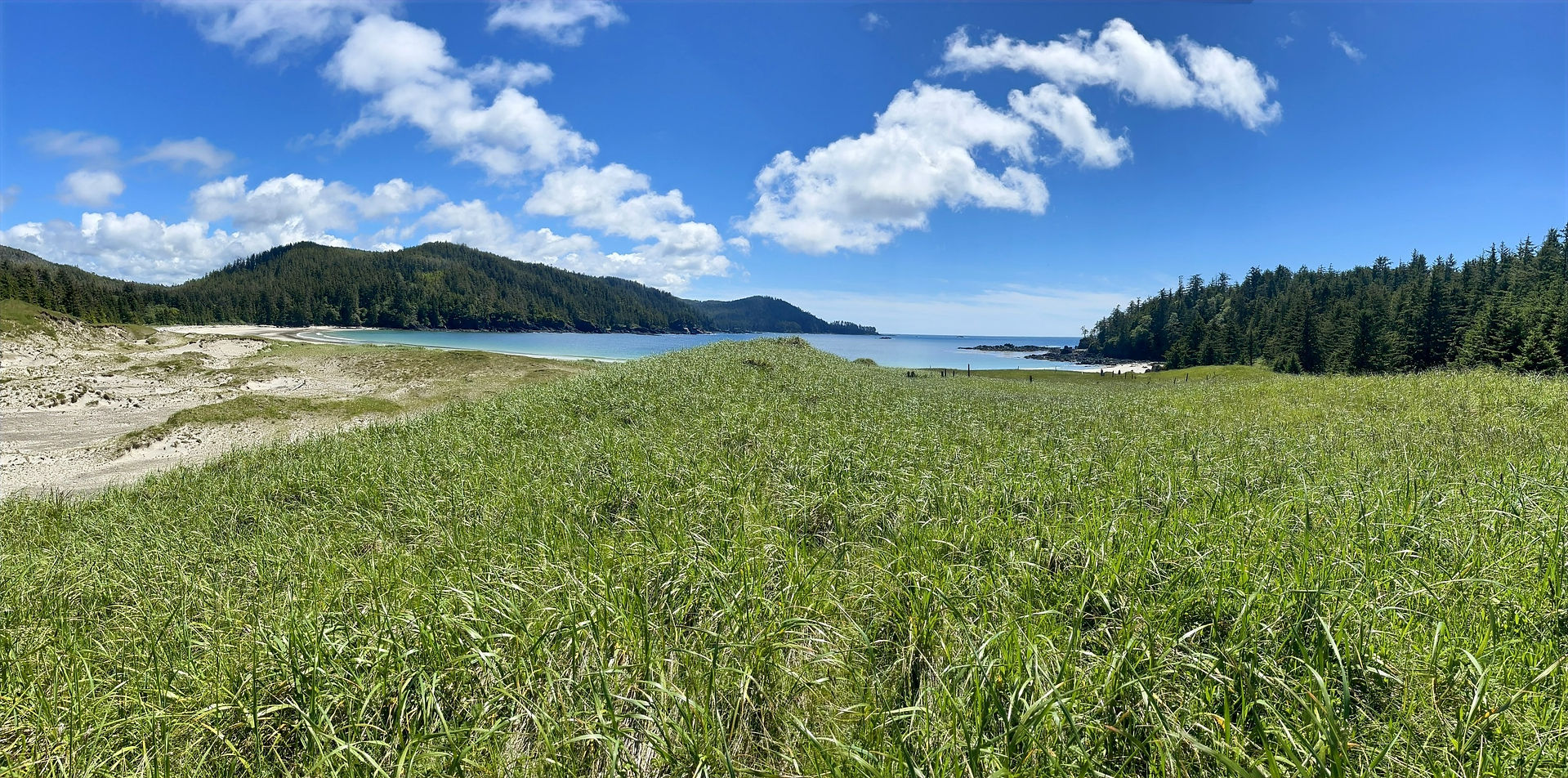 Vancouver Island - Cape Scott trail