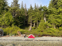 Vancouver Island - Johnstone Strait -MSR Tent