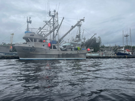 Vancouver Island - Port Hardy