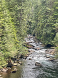 Vancouver Island - Thasis