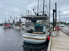 Vancouver Island - Port Hardy