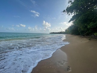 Puerto Rico - East Coast - Seven Seas Beach