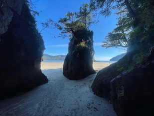 Vancouver Island - St Josef Bay Stacks