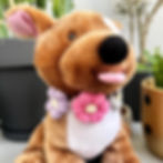 Küçük resim: Handmade Kedi Köpek Yaka Çiçeği