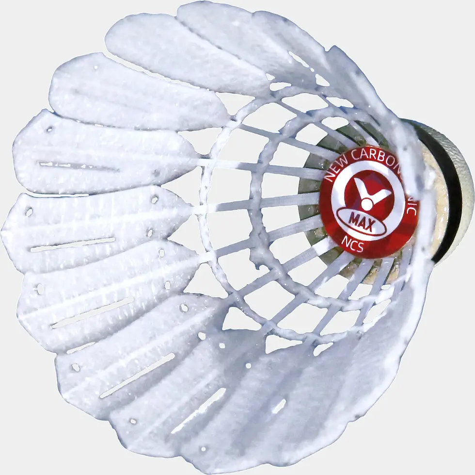 Miniaturbild: VICTOR New Carbonsonic Max